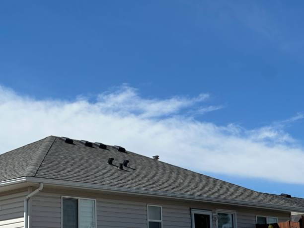 Best Cold Roofs  in Plymouth, NC